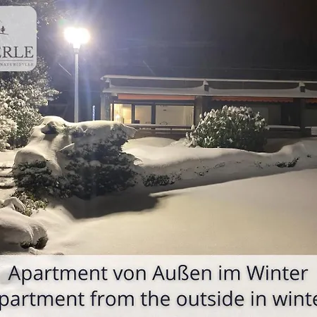 Exklusives 5-sterne Waldperle Mit Indoor-pool, Sauna, Lage Und Ausblick In Natur, Hunde Willkommen Appartement Schonach im Schwarzwald