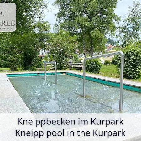Exklusives 5-sterne Waldperle Mit Indoor-pool, Sauna, Lage Und Ausblick In Natur, Hunde Willkommen *