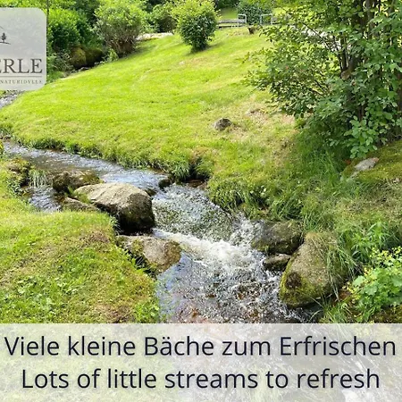 Exklusives 5-sterne Waldperle Mit Indoor-pool, Sauna, Lage Und Ausblick In Natur, Hunde Willkommen Schonach im Schwarzwald