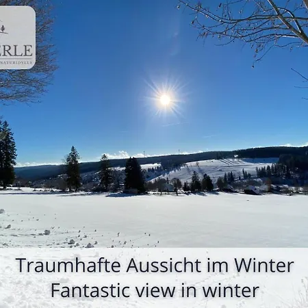 Exklusives 5-sterne Waldperle Mit Indoor-pool, Sauna, Lage Und Ausblick In Natur, Hunde Willkommen Appartement