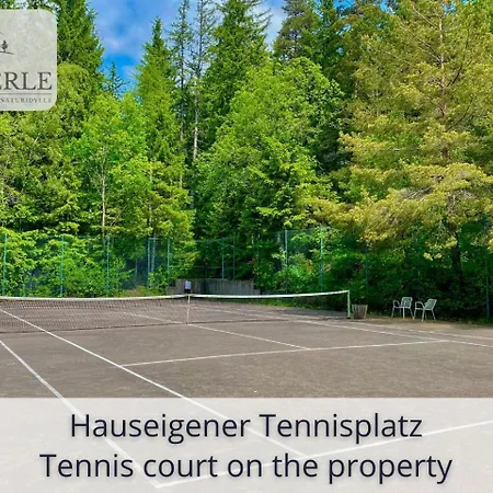 Appartement Exklusives 5-sterne Waldperle Mit Indoor-pool, Sauna, Lage Und Ausblick In Natur, Hunde Willkommen *