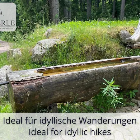 Exklusives 5-sterne Waldperle Mit Indoor-pool, Sauna, Lage Und Ausblick In Natur, Hunde Willkommen * Schonach im Schwarzwald