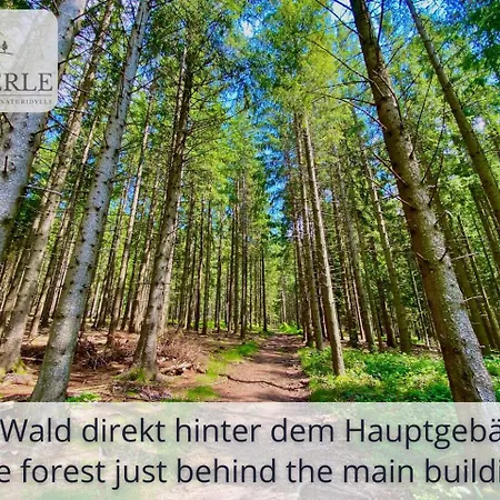 Exklusives 5-sterne Waldperle Mit Indoor-pool, Sauna, Lage Und Ausblick In Natur, Hunde Willkommen Appartement *