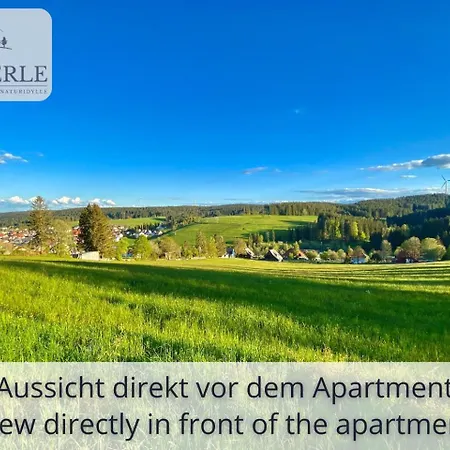 Exklusives 5-sterne Waldperle Mit Indoor-pool, Sauna, Lage Und Ausblick In Natur, Hunde Willkommen Appartement Schonach im Schwarzwald