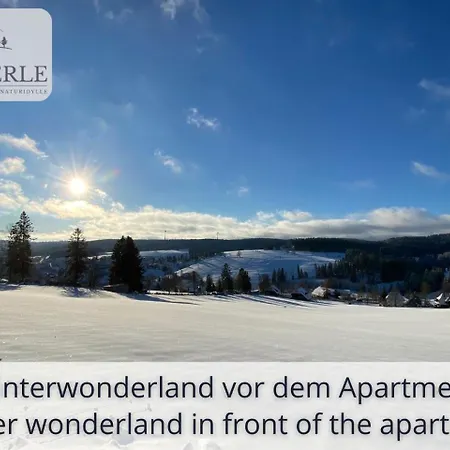 Daire Exklusives 5-sterne Waldperle Mit Indoor-pool, Sauna, Lage Und Ausblick In Natur, Hunde Willkommen Schonach im Schwarzwald