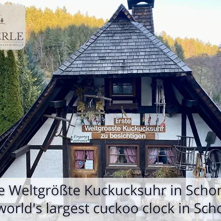 Exklusives 5-sterne Waldperle Mit Indoor-pool, Sauna, Lage Und Ausblick In Natur, Hunde Willkommen * Schonach im Schwarzwald