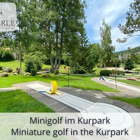 Exklusives 5-sterne Waldperle Mit Indoor-pool, Sauna, Lage Und Ausblick In Natur, Hunde Willkommen Appartement *