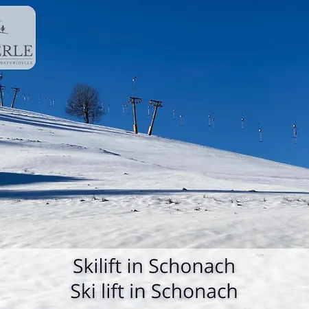 Exklusives 5-sterne Waldperle Mit Indoor-pool, Sauna, Lage Und Ausblick In Natur, Hunde Willkommen Appartement Schonach im Schwarzwald