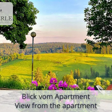 Appartement Exklusives 5-sterne Waldperle Mit Indoor-pool, Sauna, Lage Und Ausblick In Natur, Hunde Willkommen Schonach im Schwarzwald