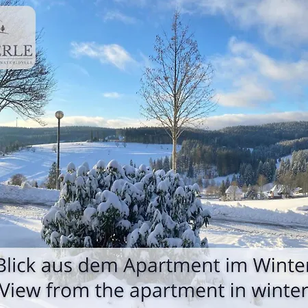 Exklusives 5-sterne Waldperle Mit Indoor-pool, Sauna, Lage Und Ausblick In Natur, Hunde Willkommen Schonach im Schwarzwald