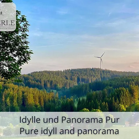 Exklusives 5-sterne Waldperle Mit Indoor-pool, Sauna, Lage Und Ausblick In Natur, Hunde Willkommen