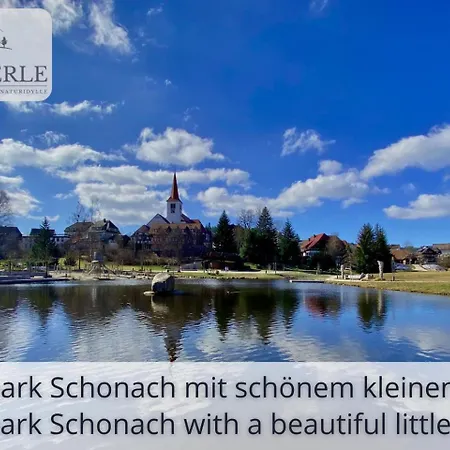 Exklusives 5-sterne Waldperle Mit Indoor-pool, Sauna, Lage Und Ausblick In Natur, Hunde Willkommen Appartement *