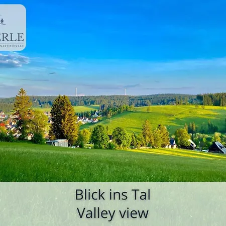 Appartement Exklusives 5-sterne Waldperle Mit Indoor-pool, Sauna, Lage Und Ausblick In Natur, Hunde Willkommen *