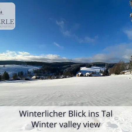 Exklusives 5-sterne Waldperle Mit Indoor-pool, Sauna, Lage Und Ausblick In Natur, Hunde Willkommen Appartement Schonach im Schwarzwald